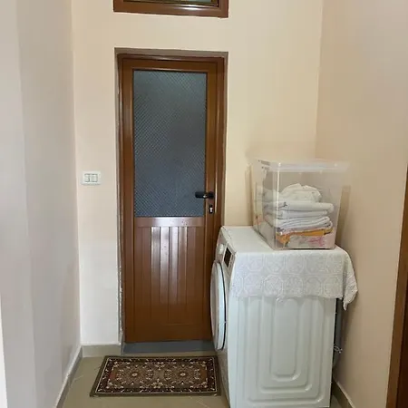 Проживание в семье Vjosa